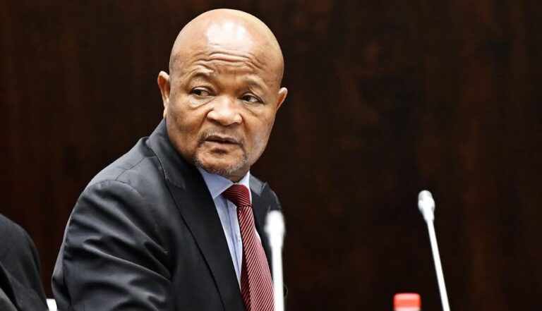 Sindiso Magaqa,South African Shooting Death: Witness E tells Commission He Warned Police, Sought Protection.